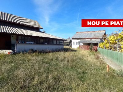 0% COMISION!!! CASA CU LAC IN INIMA PADURII  - DEALU BRADULUI