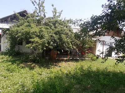 Casa Podul Broșteni- Arges!