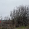 Teren de 533 mp - 10 min de Pitesti-Albota Argeș! thumb 7