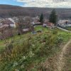 Teren intravilan cu casa veche – Mioveni, zona Faget imaginea mica 8 Teren intravilan cu casa veche – Mioveni, zona Faget thumb 8