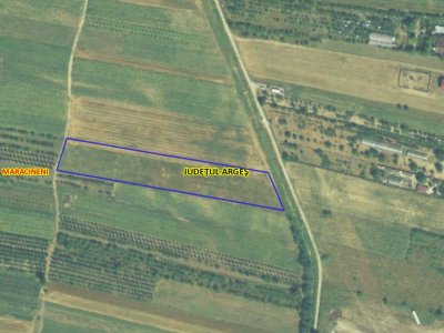 Teren intravilan 7.545 mp în Mărăcineni – ideal rezidențial sau hale