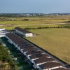 Case de vanzare - Corbeanca Complex Cherry Park 2 Faza a Doua thumb 12
