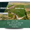 Teren de 30.000 mp în Cernica,pentru Dezvoltare Rezidențială sau Industriala  thumb 2