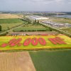 Teren de 30.000 mp în Cernica,pentru Dezvoltare Rezidențială sau Industriala  thumb 7