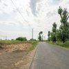 Teren de 30.000 mp în Cernica,pentru Dezvoltare Rezidențială sau Industriala  thumb 16