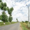 Teren de 30.000 mp în Cernica,pentru Dezvoltare Rezidențială sau Industriala  thumb 17