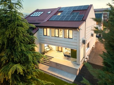 Vila Theodor Pallady  de vanzare - O proprietate care va depăși orice așteptare!