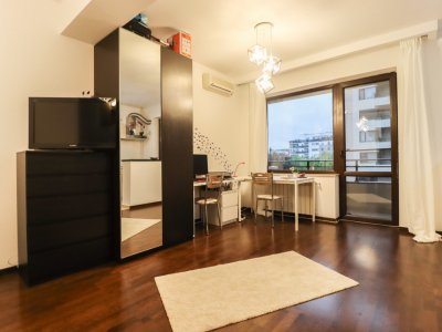 Garsonieră, mobilată și utilată, Baneasa-Aleea Privighetorilor 