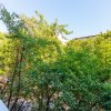 Apartament 3 camere strada Matei Basarab, Universitatea Hyperion, loc parcare thumb 27