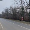 Teren de vânzare – 1000 mp în Mogoșoaia, zonă ideală pentru locuință					 thumb 5