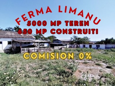 Ferma de vanzare in Limanu