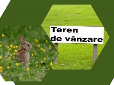 Teren extravilan 1,8ha - Sere- zona de VEST a Constantei
