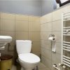 Vila P+M cu 5 camere si garaj in Valu lui Traian- mobilata si utilata  thumb 10