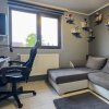 Vila P+M cu 5 camere si garaj in Valu lui Traian- mobilata si utilata  thumb 14