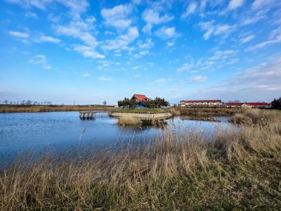 Oportunitate Unică! Teren de 35 Ha la 10E/mp cu Lacuri Medicinale și Acces Deltă