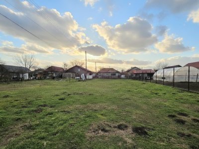 Teren intravilan 1467 MP in Lumina, jud Cta - Ideal pentru investitii