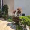 Vila D+P+E+M ,Rafinament si Eleganță in centrul Constantei thumb 82