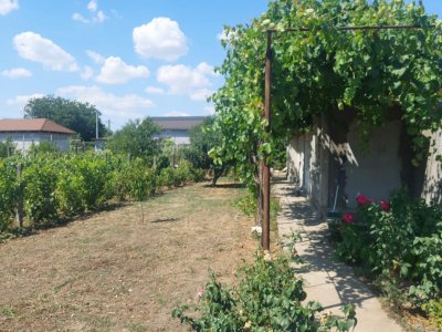 Casă situată în zona Cobadin