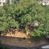 Apartament 2 camere zona Tomis Nord- Brotacei, Constanta imaginea mica 18 Apartament 2 camere zona Tomis Nord- Brotacei, Constanta thumb 18