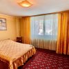 Proprietate Excepțională cu Potențial Dublu în Valea Ursului, Argeș thumb 8