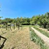 De Vanzare   Casa Buftea  thumb 30