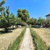De Vanzare   Casa Buftea  thumb 32