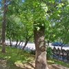 2 camere | Decomandat | Tineretului thumb 19
