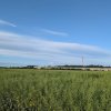  Teren de vanzare Domnești - Str. Narciselor - 20312mp  thumb 7
