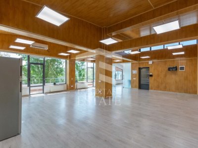 Barbu Vacarescu - Lacul Tei, Spatiu birouri str. Opanez nr. 12. comision 0% ! 