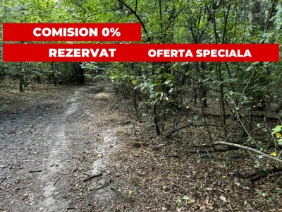 20.000mp langa Scoala Americana - Cel mai mic pret - ultimul lot!