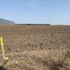 De vanzare Teren industrial 13.999 mp zona Eli Park 4Buftea  thumb 3