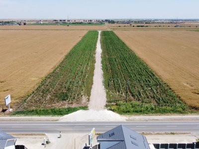 Teren Intravilan In Rate Com Berceni | utilitati: curent, gaz | #MG10