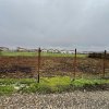 Lot Intravilan 644mp Mamina - Berceni | utilitati: Curent | #MG2R thumb 3