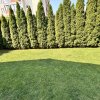 Vila zona Boreal curte cu multă verdeață  și garaj  thumb 24