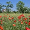 Vânzare Vila noua p+1 Ovidiu cu teren aferent 450 m.  thumb 4