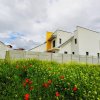 Vânzare vilă modernă în Mamaia Nord — terasa circulabila thumb 2