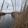 Teren 2500 mp – Izvorani | Deschidere directă la lac  thumb 1