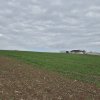 Teren 2500 mp – Izvorani | Deschidere directă la lac  thumb 2