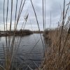 Teren 2500 mp – Izvorani | Deschidere directă la lac  thumb 4