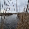 Teren 2500 mp – Izvorani | Deschidere directă la lac  thumb 7