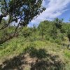 📍 Teren de inchiriat – Voluntari, Strada Popasului thumb 5