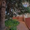 Vila Iancu Nicolae – între Grădina Zoo și Jolie Ville | Liniște, spațiu și confo thumb 28