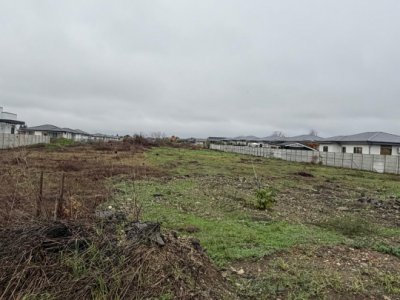 Tamasi, Corbeanca – teren 9838 mp