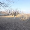 Casă tradițională aproape de Giurgiu – locul perfect pentru iubitorii de natură thumb 26