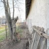 Casă tradițională aproape de Giurgiu – locul perfect pentru iubitorii de natură thumb 27