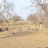 Casă tradițională aproape de Giurgiu – locul perfect pentru iubitorii de natură thumb 28