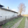 Casă tradițională aproape de Giurgiu – locul perfect pentru iubitorii de natură thumb 51